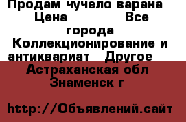 Продам чучело варана. › Цена ­ 15 000 - Все города Коллекционирование и антиквариат » Другое   . Астраханская обл.,Знаменск г.